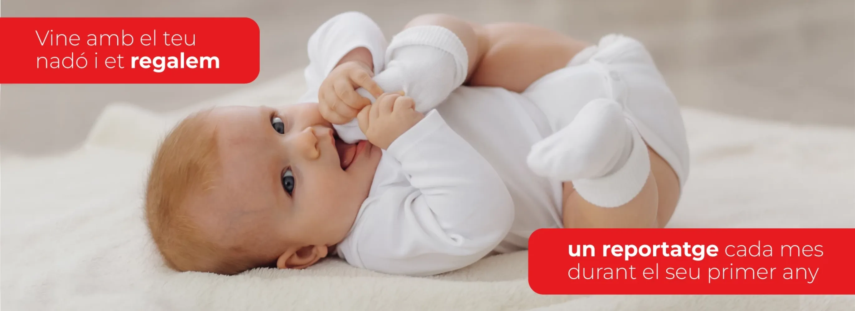 banner_1