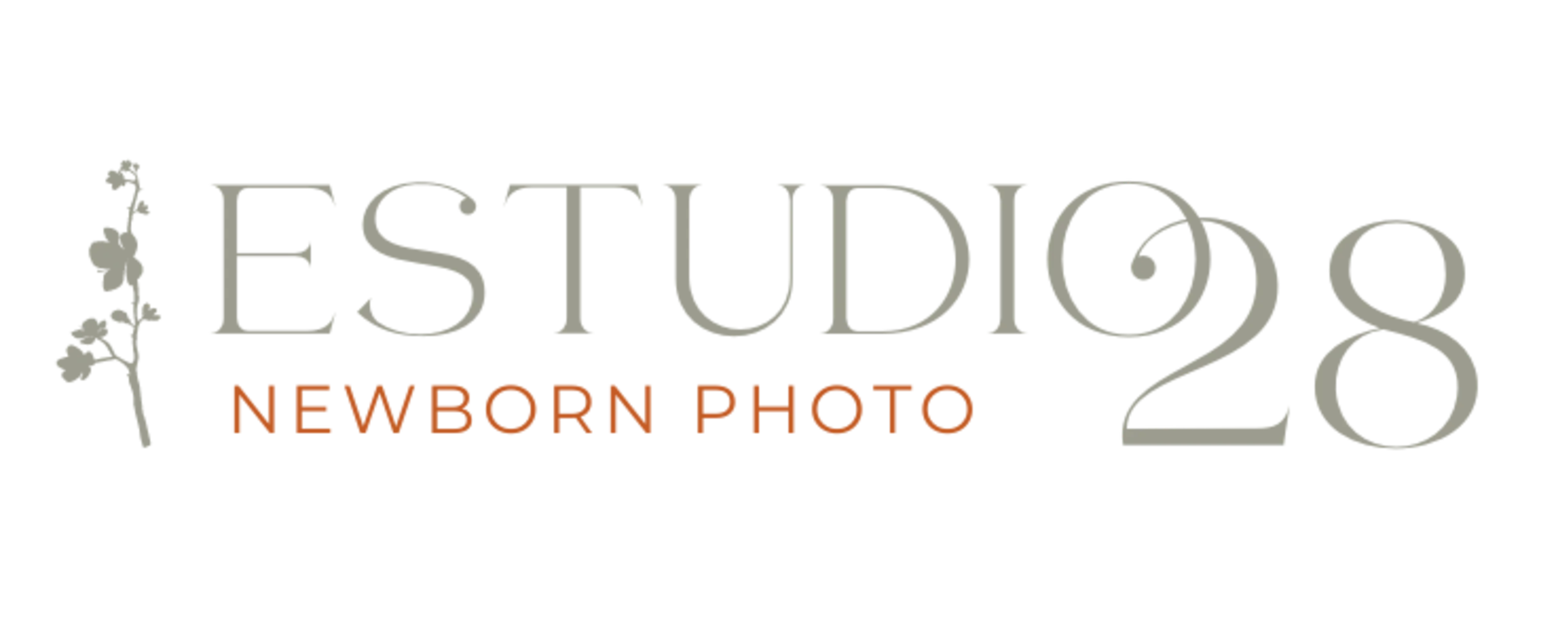 estudio28