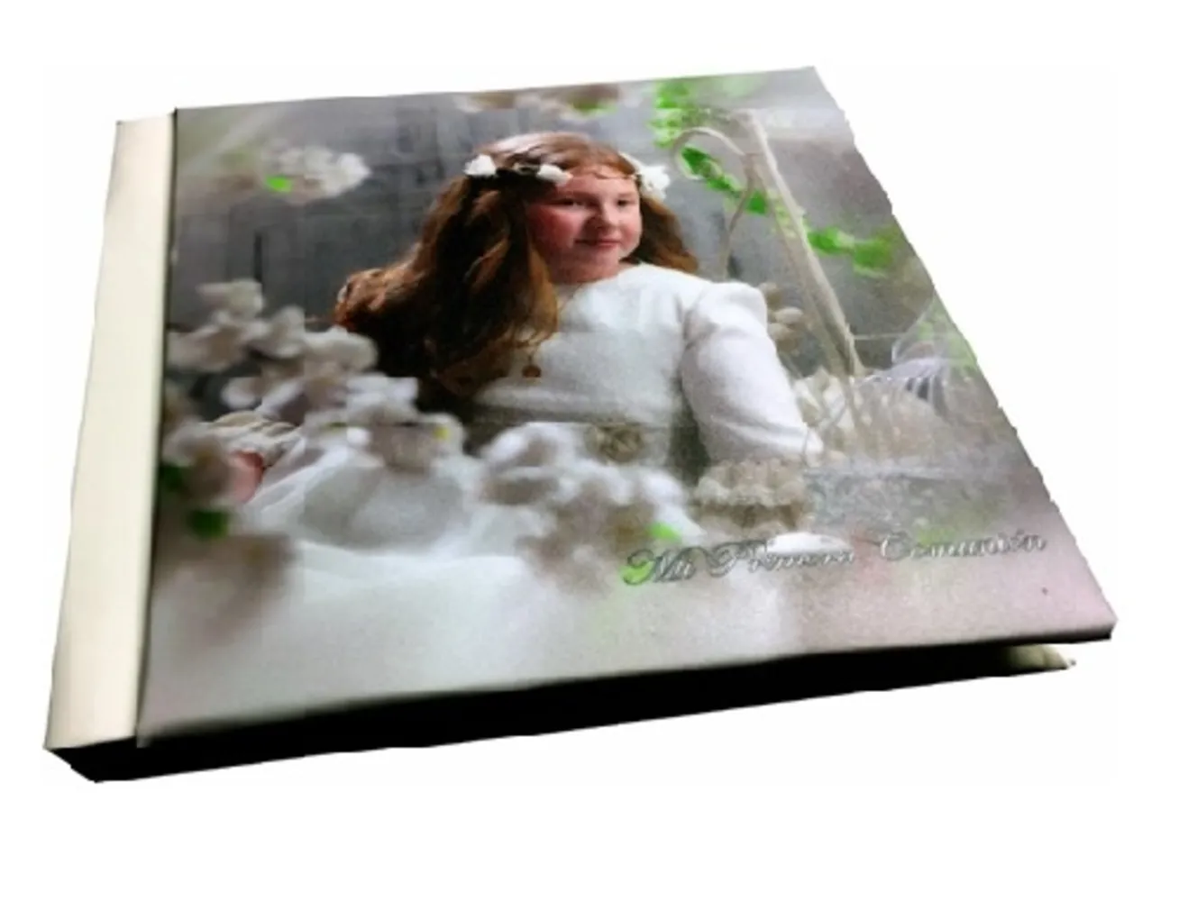 Álbum de familia tipo LIBRO