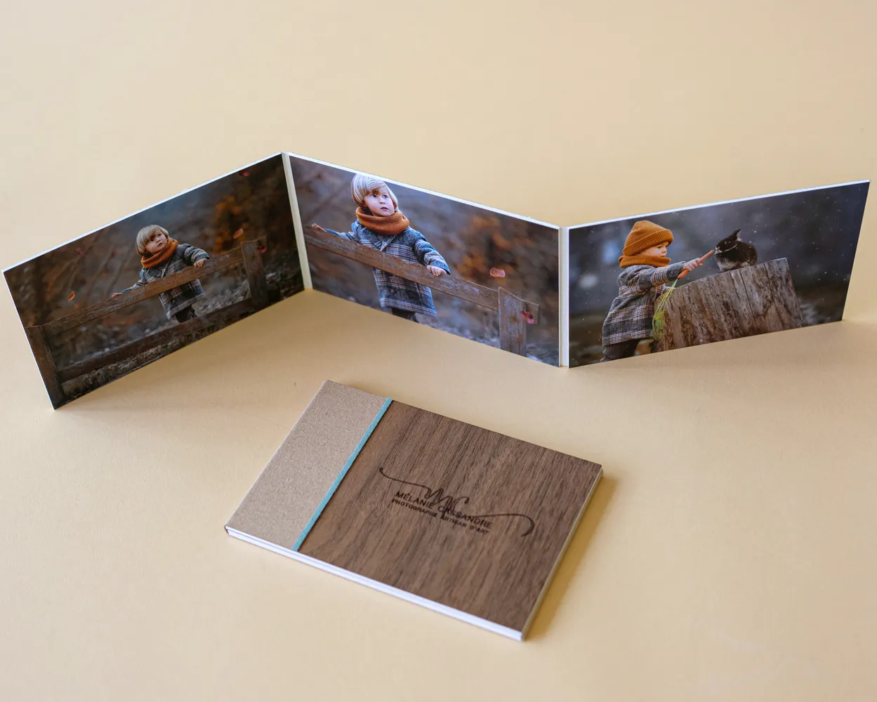 Dípticos, trípticos y cuadrípticos fotográficos