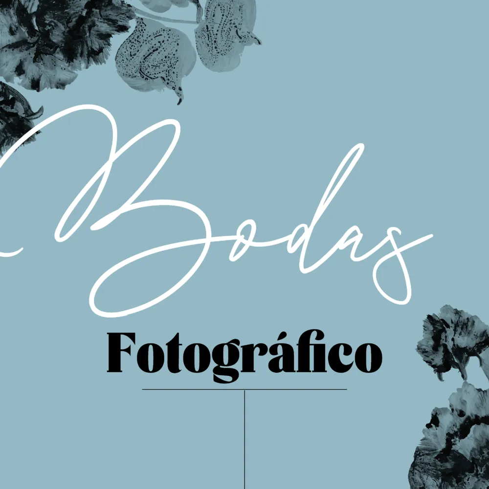 Álbumes Basic Layflat