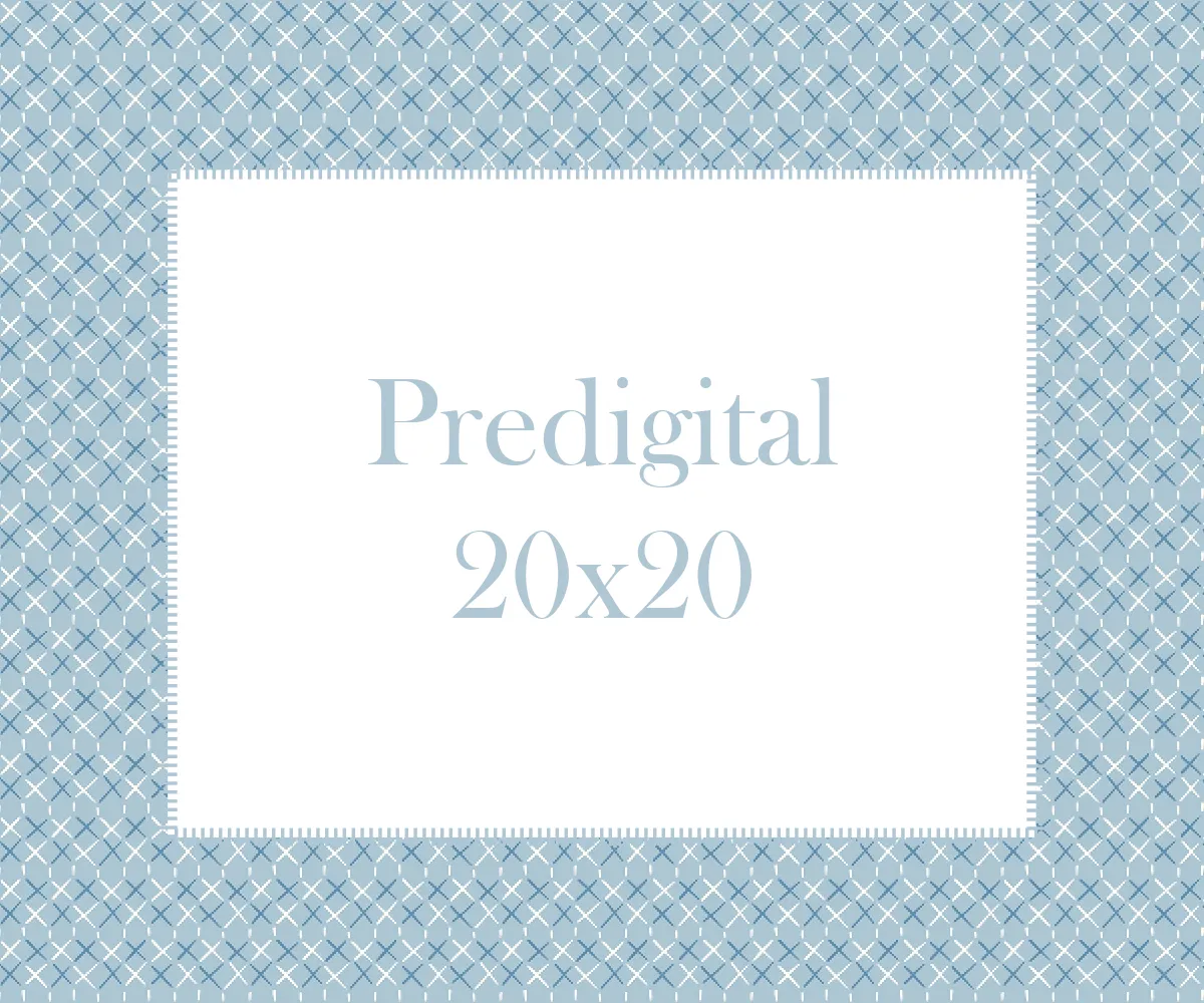 Predigital 20x20