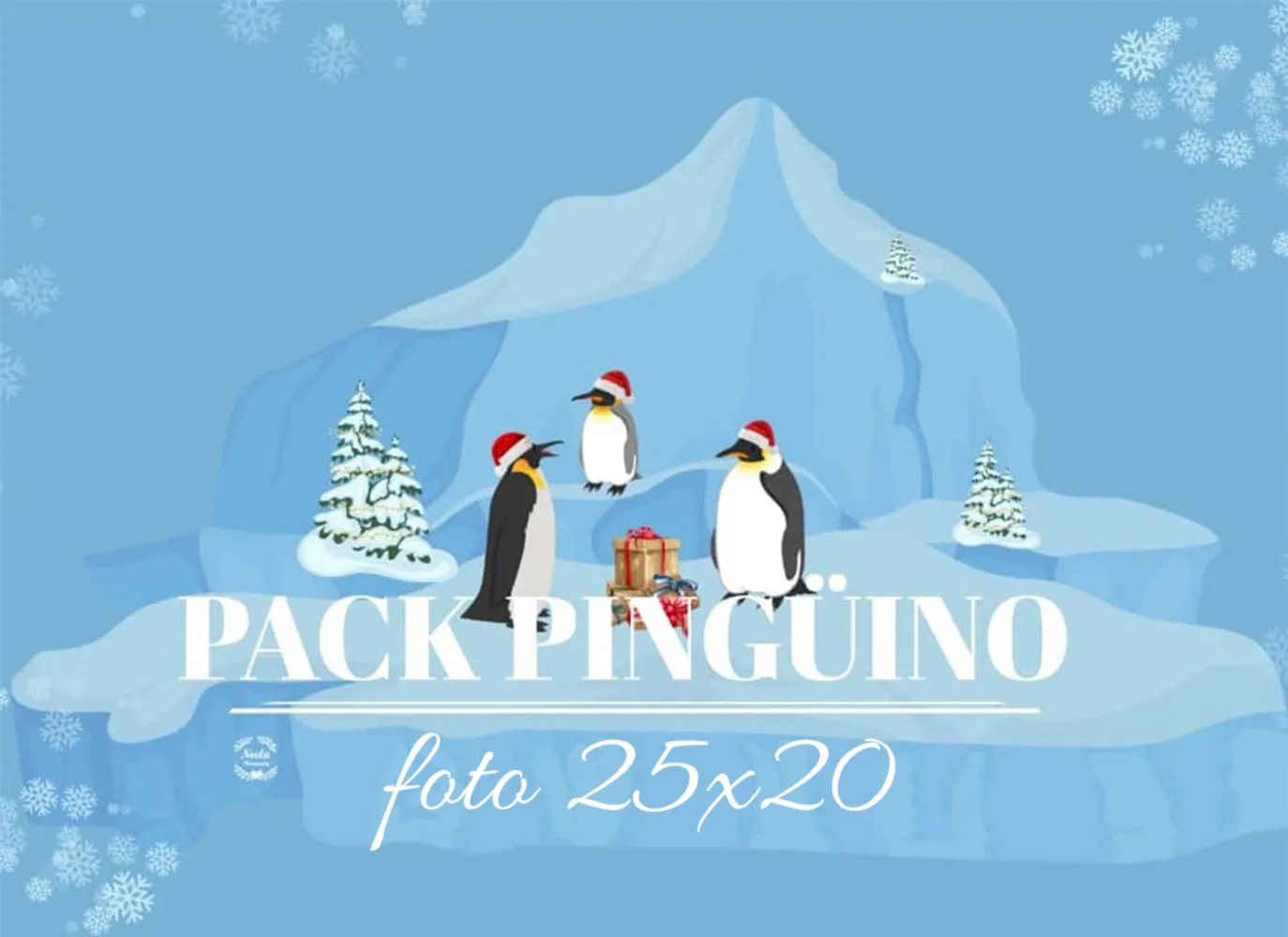 Copias Pack Pingüino 25x20