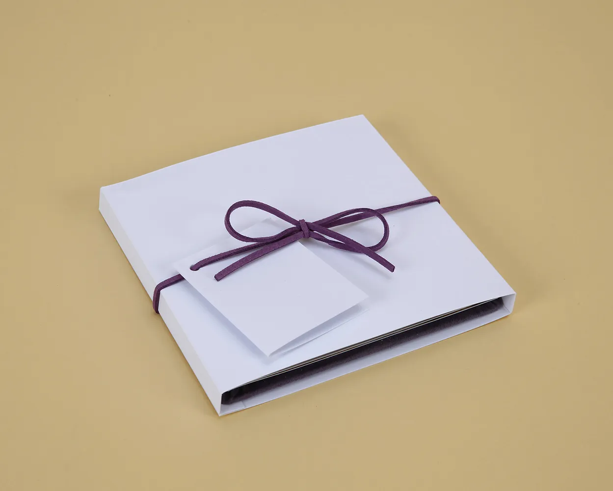 Acordeón fotográfico 