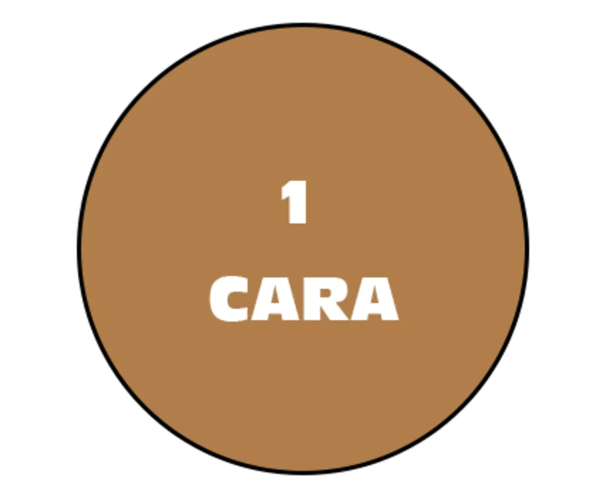 OFFSET 2 CARAS